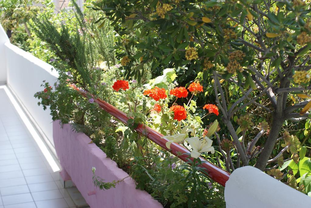 Stam & John Apartments Kos Exteriör bild